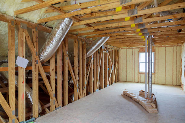 Best Eco-Friendly Insulation in Trumansburg, NY