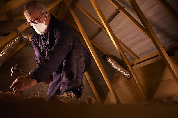 Best DIY Insulation Kits and Guidance in Trumansburg, NY